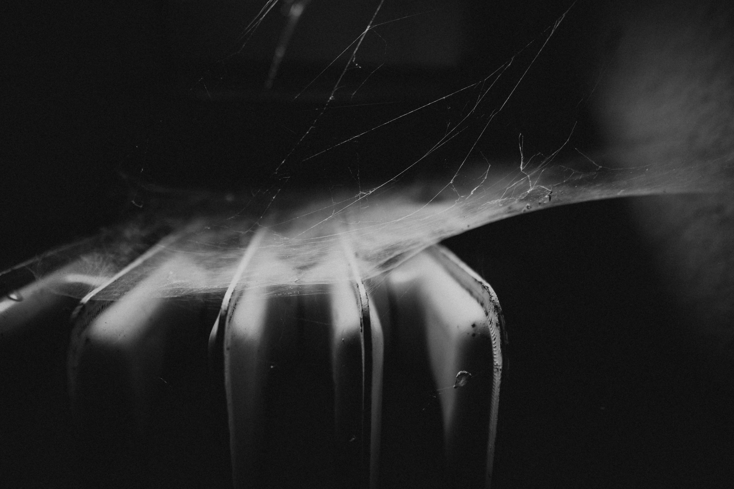 LP Schwarzwaldklinik 302617